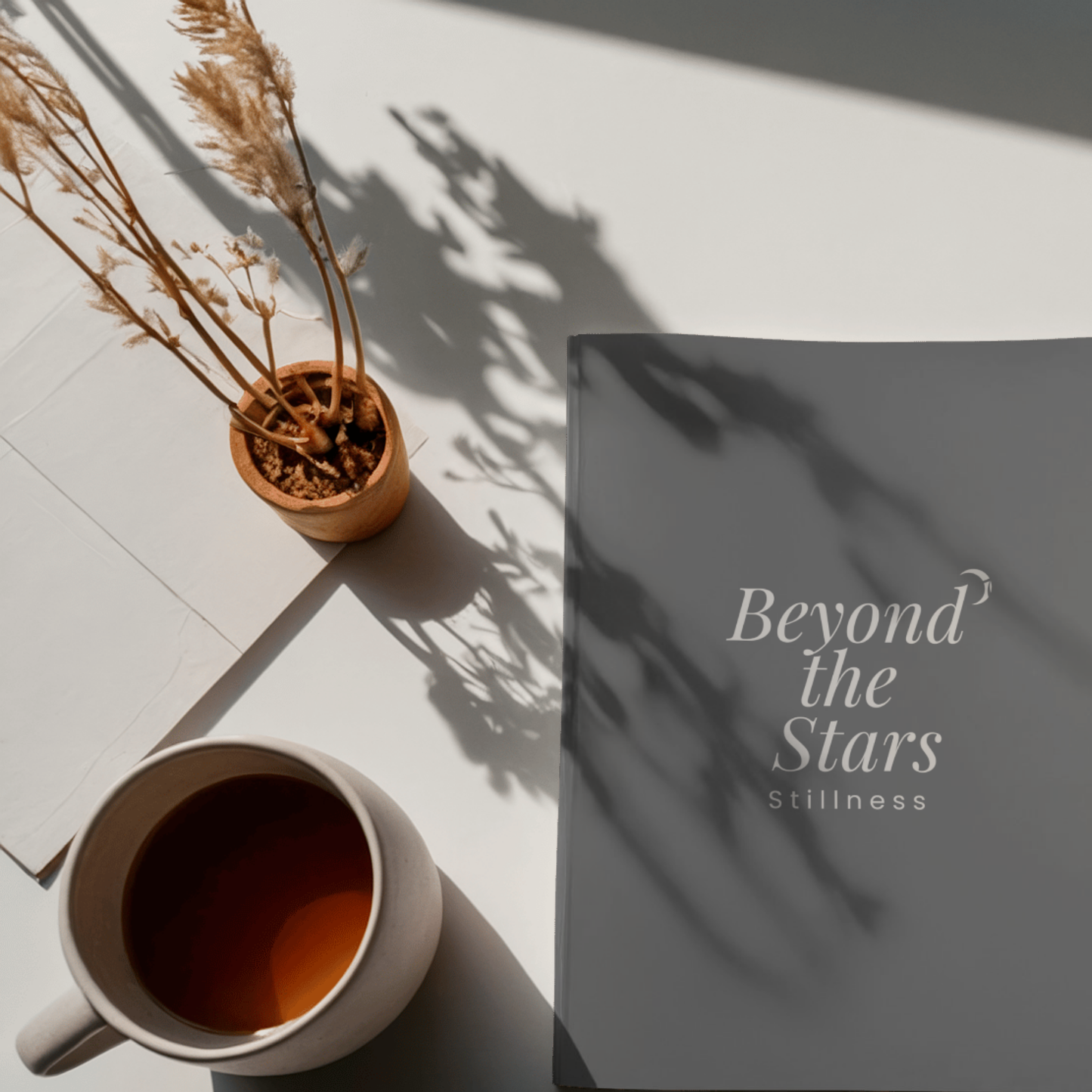 Beyond the Stars : Stillness (No Prompt Ver.)